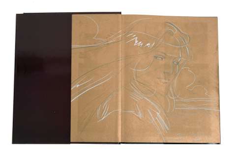 Alice Alex Siegfried Superbe... | ALICE Alex Siegfried Superbe dédicace sur l’album Le... | Vermot et Associés