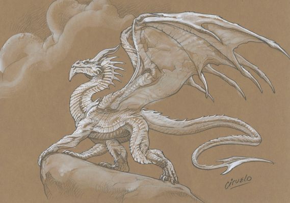 Dragon D-401c | Corner4art