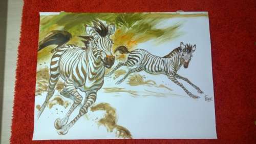 Frank (Pé) | Large watercolour  - Two zebras | Catawiki