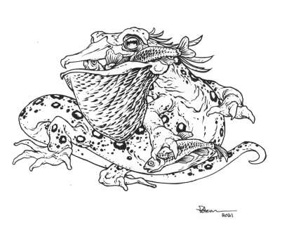 David Petersen | Salamalican Original Art | David Petersen