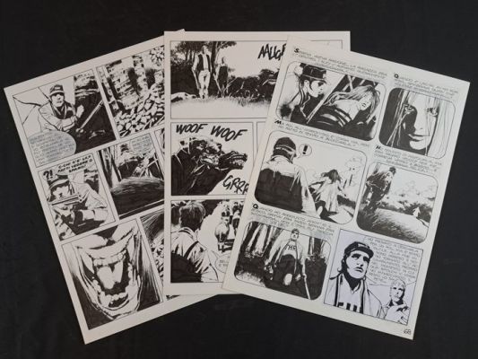 Roi, Corrado - 3 Original page - Dylan Dog: La Capanna nel Bosco - 2011 | Catawiki