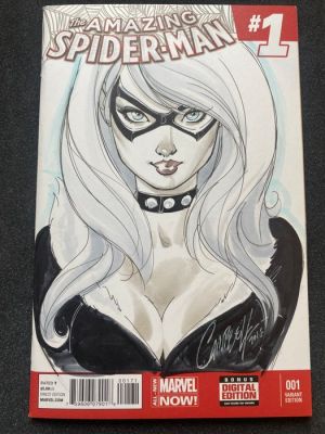 J. Scott Campbell - Colour pencil drawing - Amazing Spider-Man - Black Cat original sketch - 2016 | Catawiki