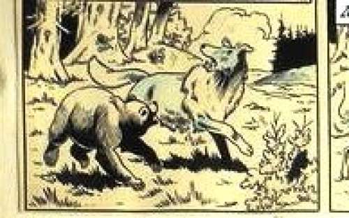 Wirel (Vandersteen, Willy / Verschuere, Karel) | Originele pagina Bessy 9  - Het gevaarlijke konvooi  - (1955) | Catawiki