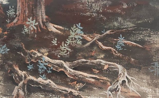 Hausman, André - 1 Original colour drawing - La vie des arbres - 1963 | Catawiki