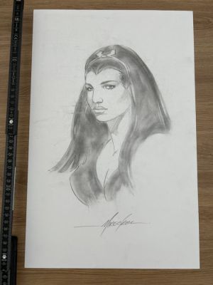 Mike Grell - 1 Original drawing - Wonder Woman | Catawiki