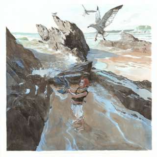 Guillaume Sorel - Bellangenet, homard, Saint-Malo 50x50 cm