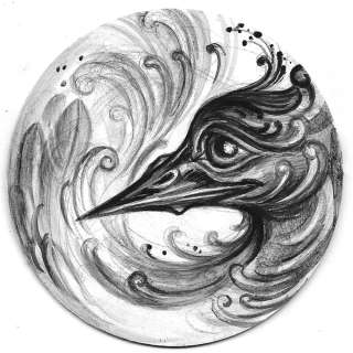 PAVO CRISTATUS by Kim Saigh | Pop Sequentialism