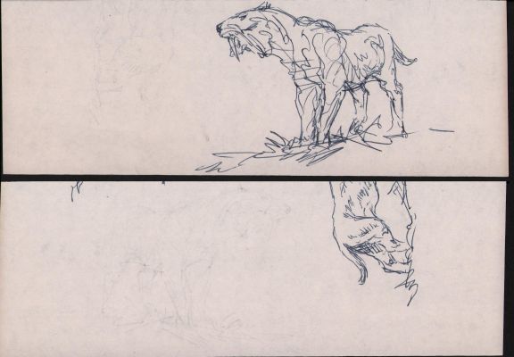 Roy Krenkel | Doublesided Sabretooth Tiger Ink Studies | Anthony’s Comic Book Art