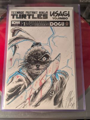 TMNT Usagi Yojimbo #1 Blank Cover Original Art by Joe Doyle | Raremarq (Buy It Now)