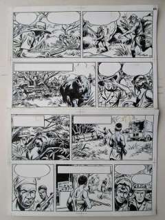 Safari - Originele pagina - Safari - Page volante | Catawiki