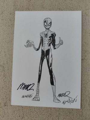 Zerocalcare - Humberto Ramos stampa Spiderman firmata X 2 | eBay Europe (Buy It Now)
