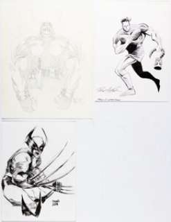 Hester, Phil - Phil Hester, Kevin Mellon, and Kyle Hotz - Superhero Illustrations Original Art Group of 3 (1990s-2010s).... (Total: 3 Original Art)