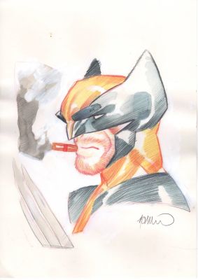 Wolverine in watercolor by Simone Di Meo | DiTullio Art Collective