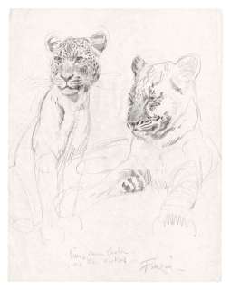 André Franquin | Étude de panthère. Franquin adorait crayonner, partout, tout le temps. C’était aussi un dessinateur animalier hors pair. Ici, un croquis offert à un admirateur. Signé. Mine de plomb sur papier | Christie’s