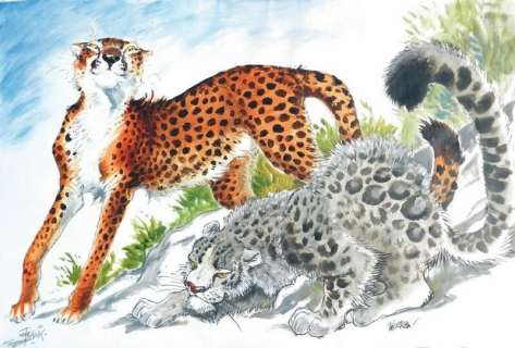 Frank (Frank Pé, 1956-). | BDEnchères