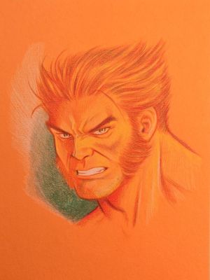 Mario Torrisi - Wolverine Original Sketch