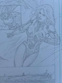 Molenaar, Romano - 1 Original page - Birds of Prey - Pencil Issue 0 - Page 13 - 2012 | Catawiki