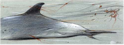 Bilal | Coup de sang, illustration aux crayons pastel sur… | Millon