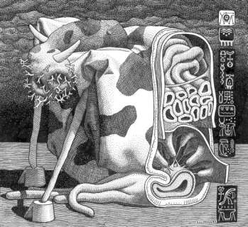 Killoffer - LA VACHE TRANCHÉE