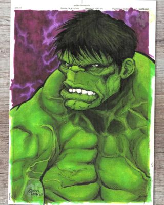 Goodman, Raul - L’Incroyable Hulk - Hand Signed Original Artwork | Catawiki