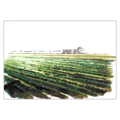 Louis Clichy | Le Corset - Rehaut d’aquarelle par Cécile Guillard (réf. 98) | Achetez de l’Art