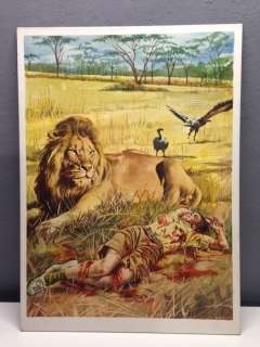 Storie Nere Gigante n. 53 - Marcarini - cover originale "Il Leone" - Page volante - (1982) | Catawiki