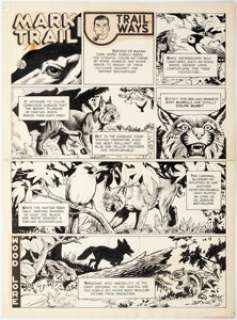 Dodd, Ed - Ed Dodd Mark Trail and Wood Lore Sunday Comic Strip Original Art dated 9-8-1963 (Hall Syndicate, 1963)...