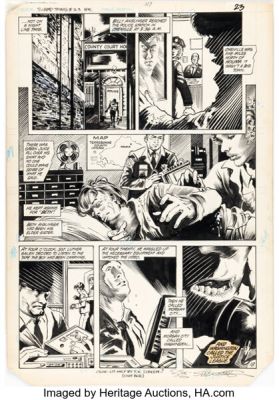 Steve Bissette and John Totleben The Saga of Swamp Thing #23 Story Page 18 Original Art (DC, 1984).