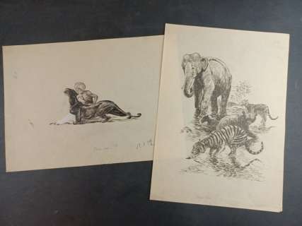 Rino Albertarelli | Kim, Il Libro della Jungla - Rino Albertarelli - 2x Illustrazioni Originali - Page volante - Exemplaire unique | Catawiki