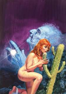 PINO DANGELICO - Piante Grasse | Little Nemo