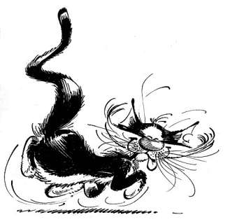 Franquin | LE CHAT | Artcurial