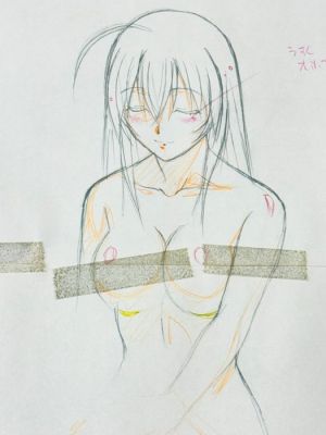 J.C.Staff - 1 Dessin d’animation original (37 × 30 cm) - Ikki Tousen (2003) | Catawiki