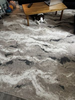 Mark Pulliam Rug Full Of Penny Dog Hair Trump The Chump Day | eBay US