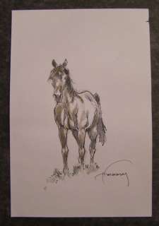 Hermann - Originele aquarel - Paard - (2019) | Catawiki