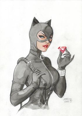 Catwoman and the Stolen Diamond | Corner4art