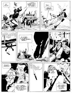 Alfonso Font | The Black Ace (AS168) | Alfonso Font