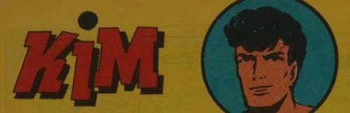 Kim de held van het oerwoud | Zwiggelaar Auctions