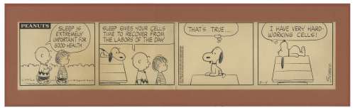  - Charles Schulz Hand-Drawn ‘‘Peanuts‘‘ Comic Strip -- Featuring Charlie Brown and Snoopy From 1963 During the Golden Age of ‘‘Peanuts‘‘