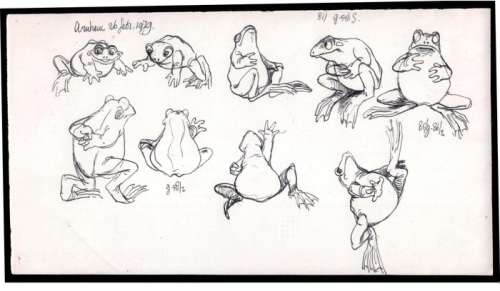 Dulieu, Jean - 1 Original preliminary drawing - Paulus de Boskabouter - Grote studie van kikkers voor een Paulus verhaal - 1979 | Catawiki