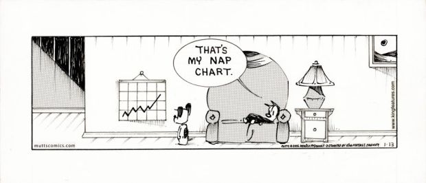 McDonnell, Patrick - MUTTS DAILY Strip Art | ComicConnect