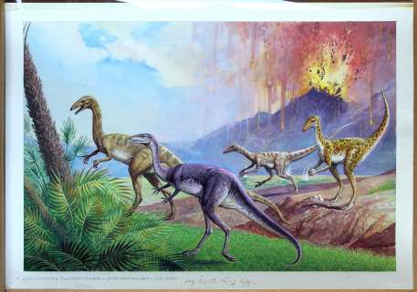 SEVERINO BARALDI - Illustrazione raffigurante Coelophysis-Elaphrosaurus-Saurornithoides-Coelurus Matita e tempera su cartoncino. Dimensioni: 55 x 39 cm. Timbro dietro di Severino Baraldi. Pubblicazione certa ma non reperita.