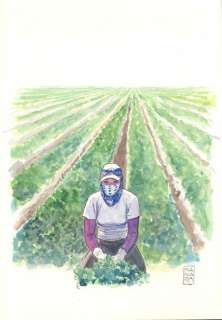 Milo Manara | “Cueilleuse”?Aquarelle sur papier 25 x 36 cm | Tessier Sarrou