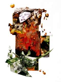 Sergio Toppi Illustrazione per portfolio | Little Nemo