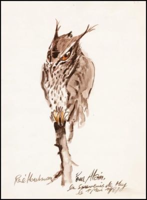 Lot 224 - Hausman. Illustration originale Hibou | BDEnchères