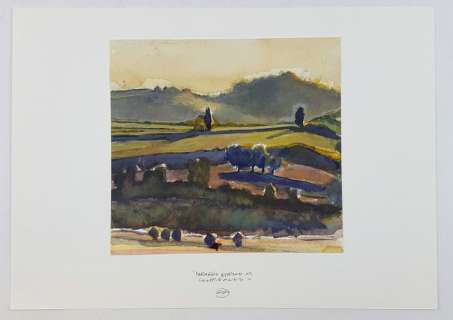 Gipi - Illustr. Origin. "Paesaggio Esterno al Compleanno" - Page volante | Catawiki