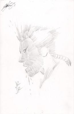 X-men! Rachel Summers/ Phoenix by John Romita JR Pencil Claremont Signed | eBay US