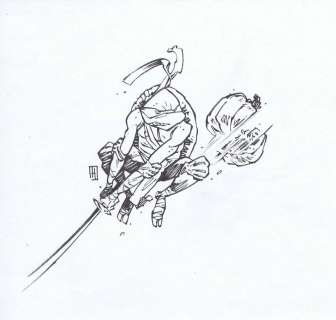 Greg Hinkle - Teenage Mutant Ninja Turtles (IDW) 