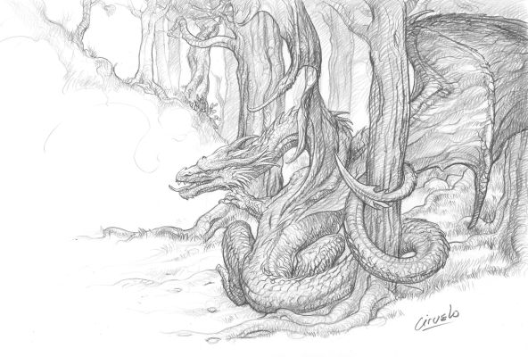 Forest Dragon “D-054b” | Corner4art