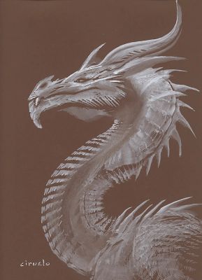 D-405 D – Dragon Profile Study | Corner4art
