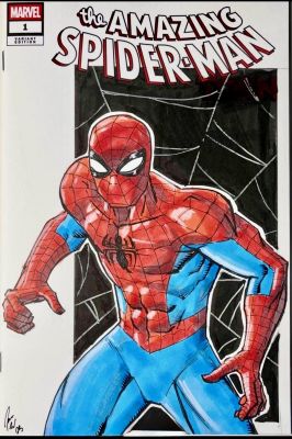Marvel Comics The Amazing Spider-Man Custom Sketch Edtition | Raremarq (Buy It Now)